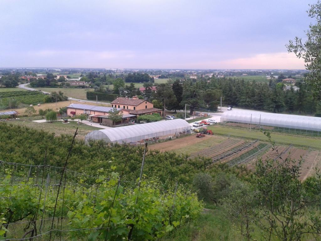 Bed and Breakfast Agriturismo Perugini Cesena Zewnętrze zdjęcie