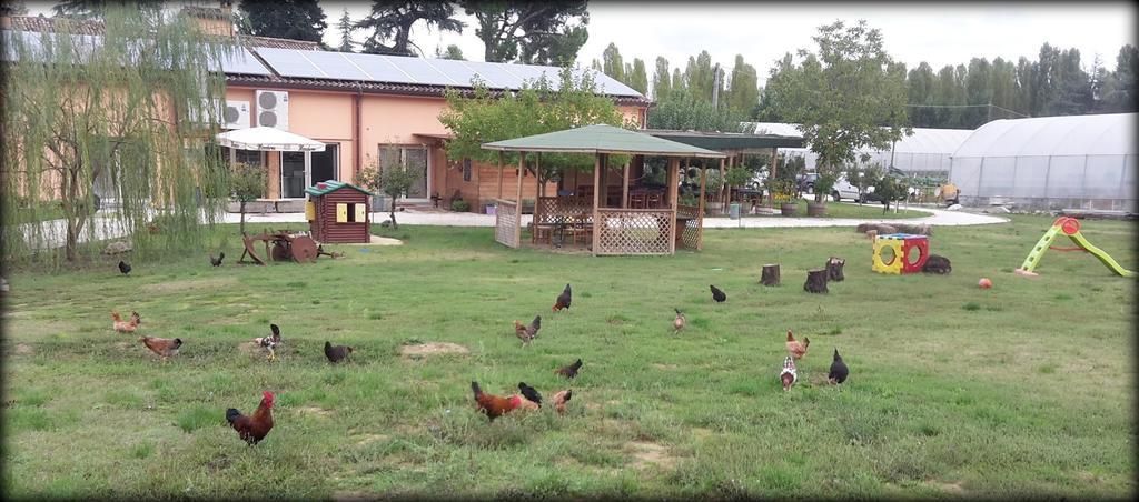 Bed and Breakfast Agriturismo Perugini Cesena Zewnętrze zdjęcie